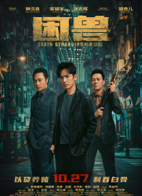人人干人人看